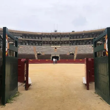 Loft Con Estilo Y Terraza En Centro Historico Appartamento *